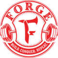 Forge Store